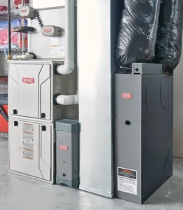 Basement Unit